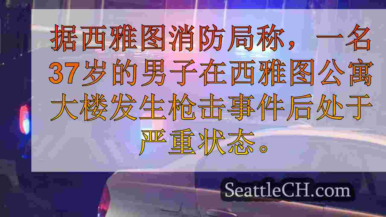清晨在西西雅图射击后状况严重的人，大射击者
