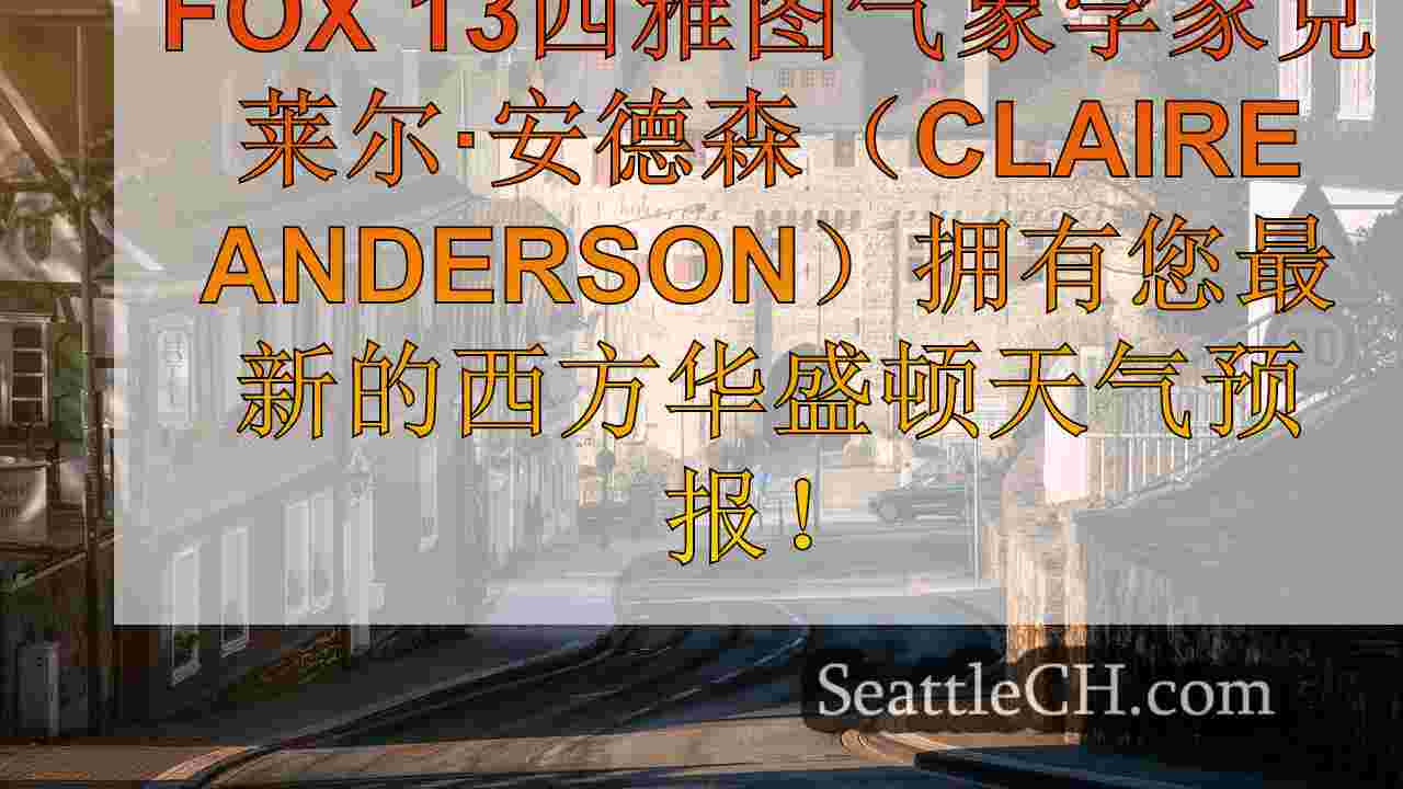 西雅图新闻 SeattleCH