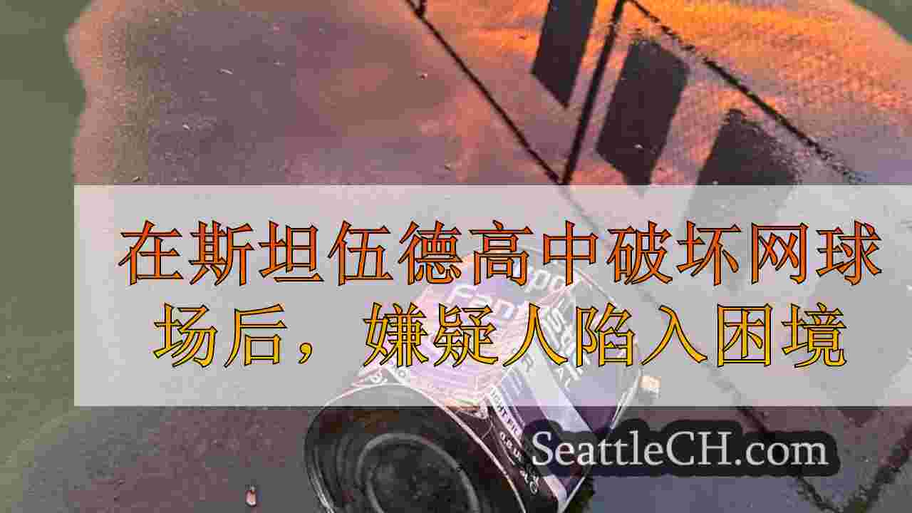 在斯坦伍德高中破坏网球场后，嫌疑人陷入困境