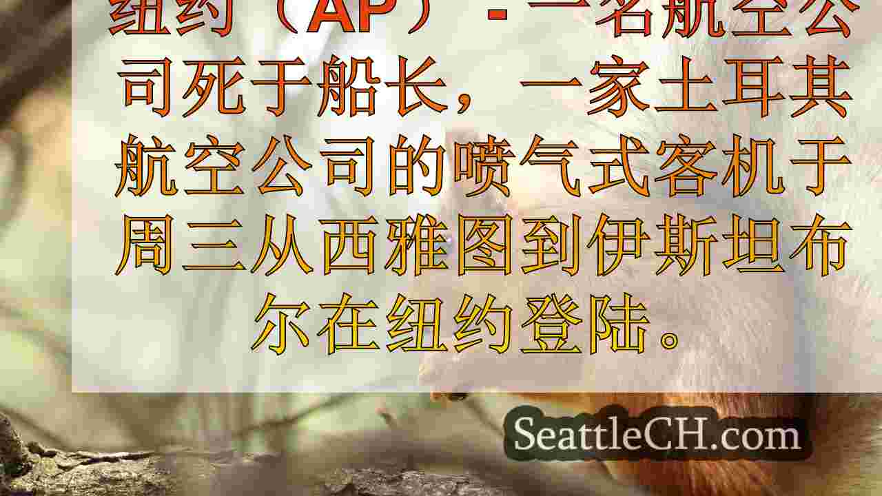 西雅图新闻 SeattleCH