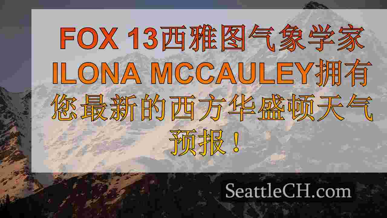 西雅图新闻 SeattleCH