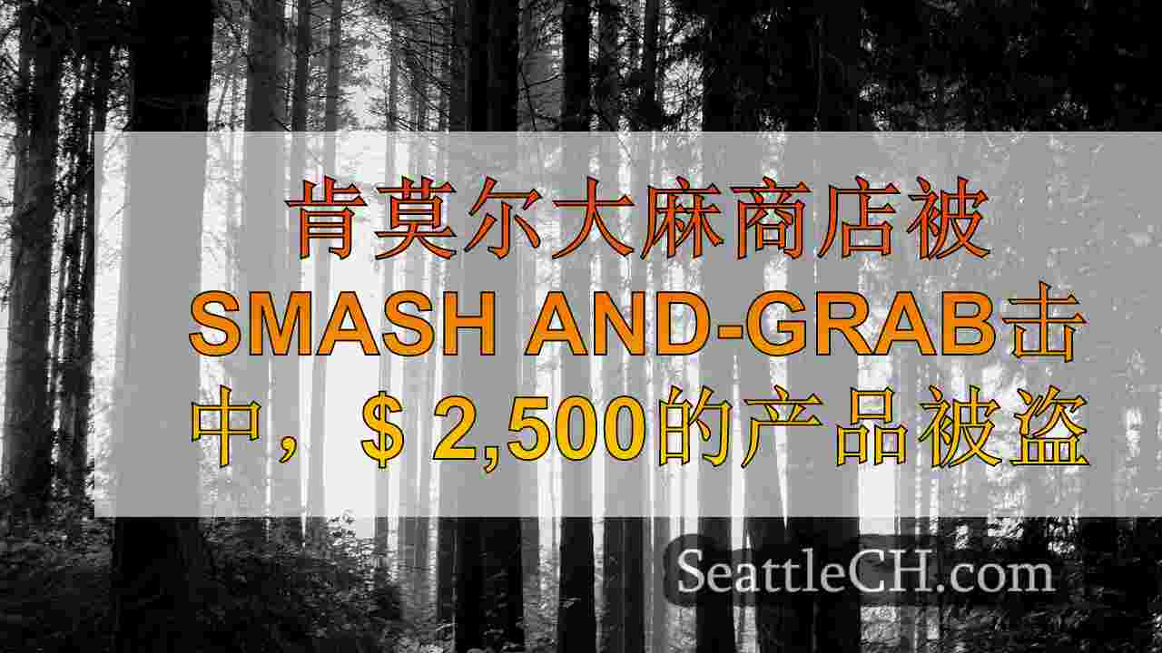 西雅图新闻 SeattleCH