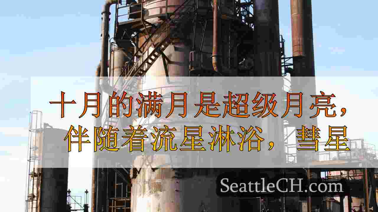 西雅图新闻 SeattleCH