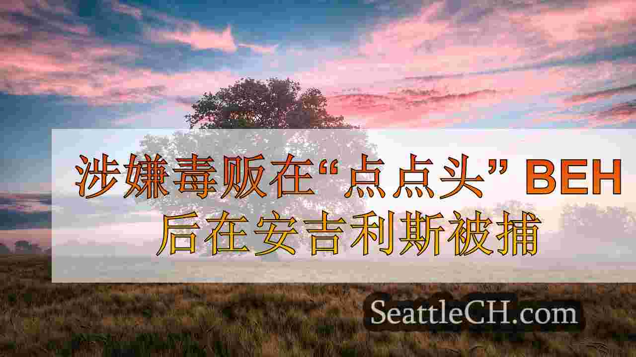 西雅图新闻 SeattleCH