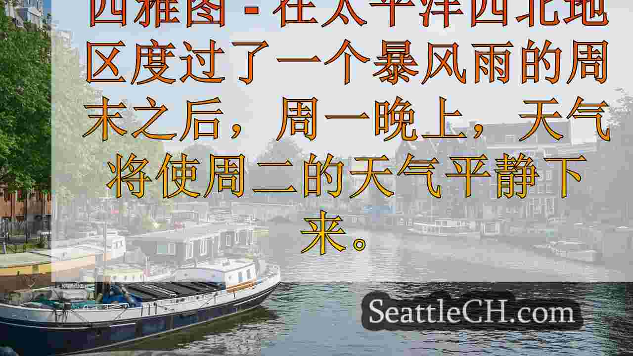 西雅图新闻 SeattleCH