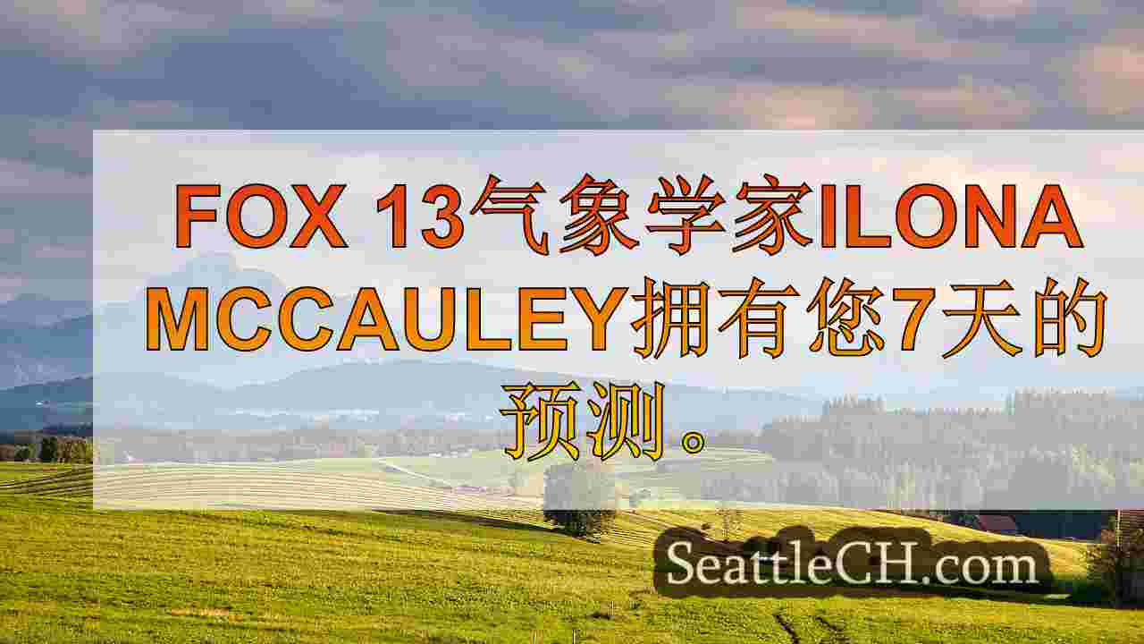 西雅图新闻 SeattleCH