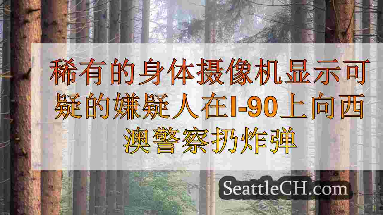 西雅图新闻 SeattleCH