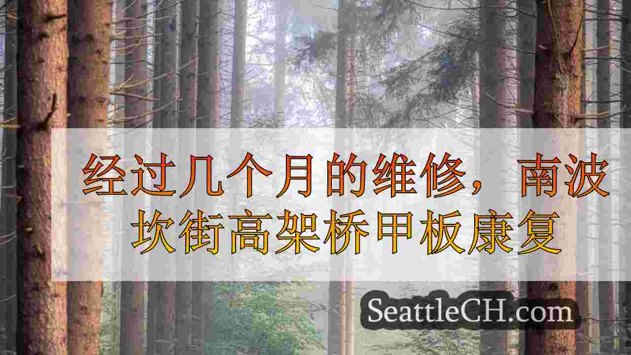 西雅图新闻 SeattleCH