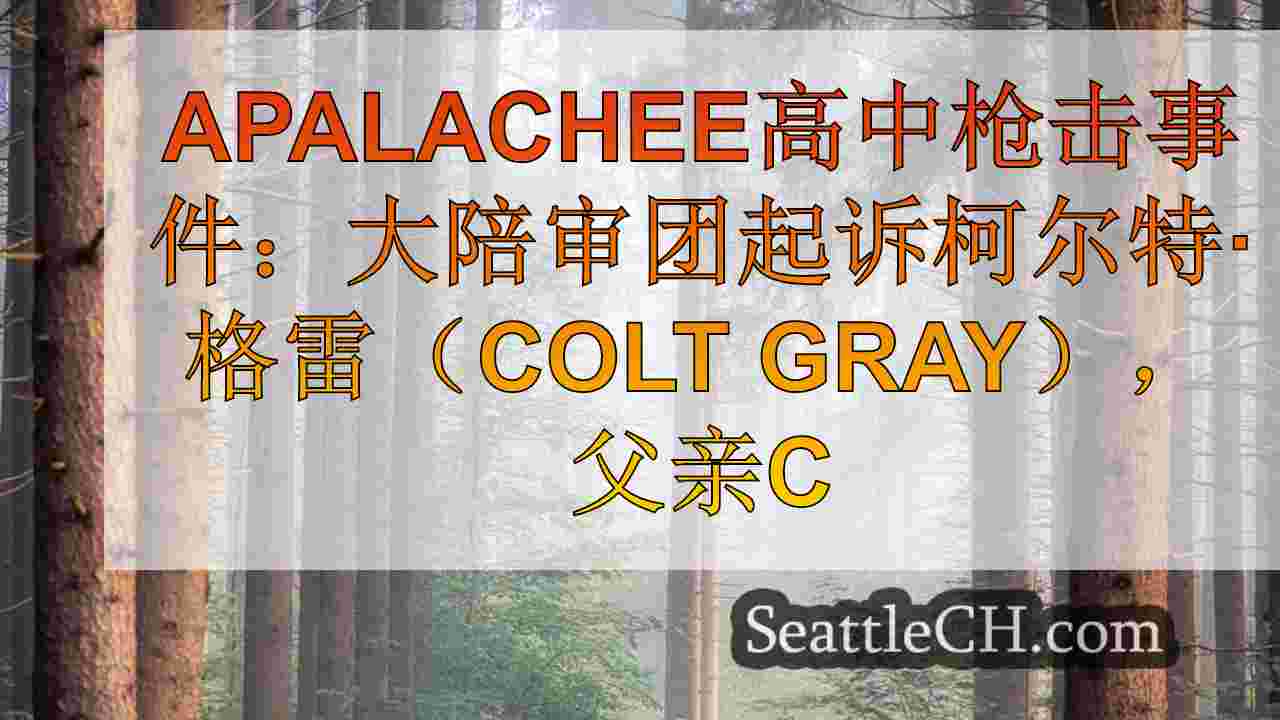 西雅图新闻 SeattleCH