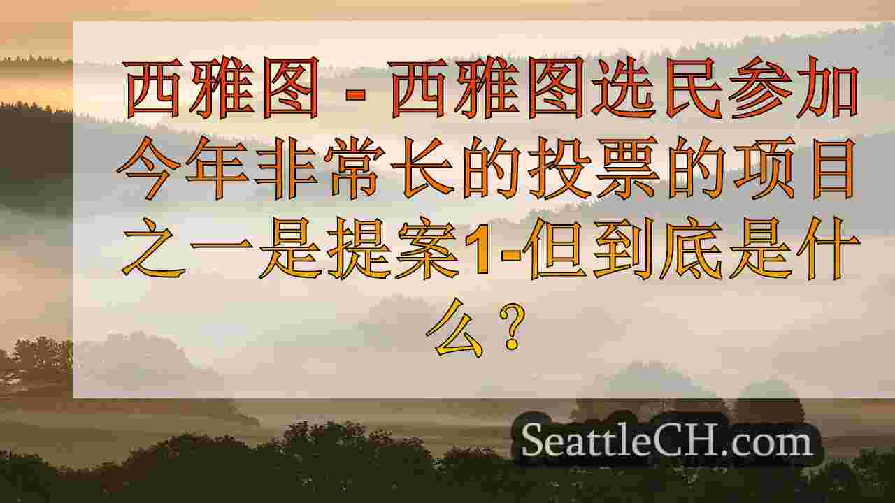 西雅图新闻 SeattleCH