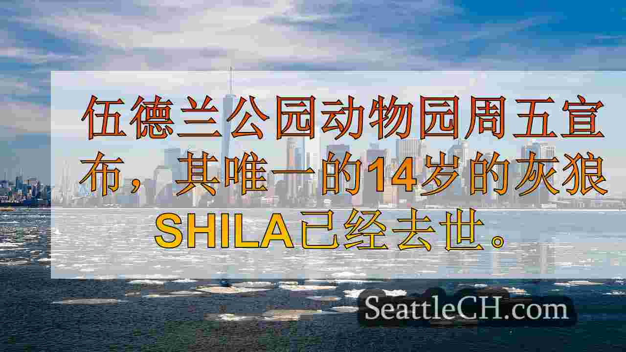 西雅图新闻 SeattleCH