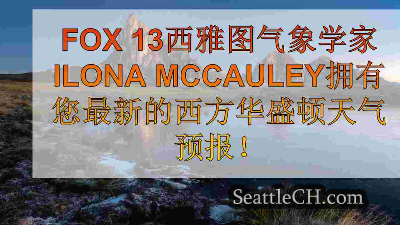 西雅图新闻 SeattleCH