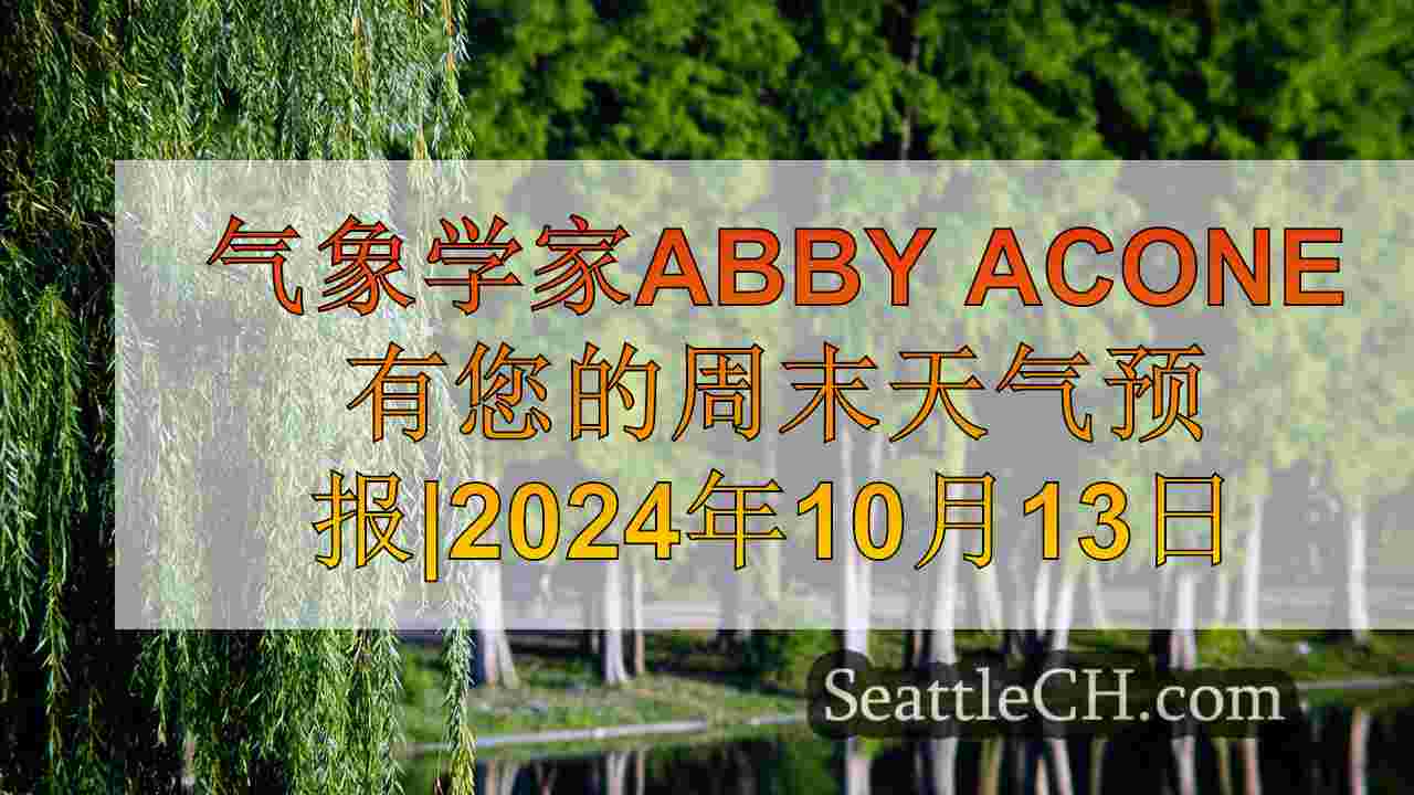 西雅图新闻 SeattleCH
