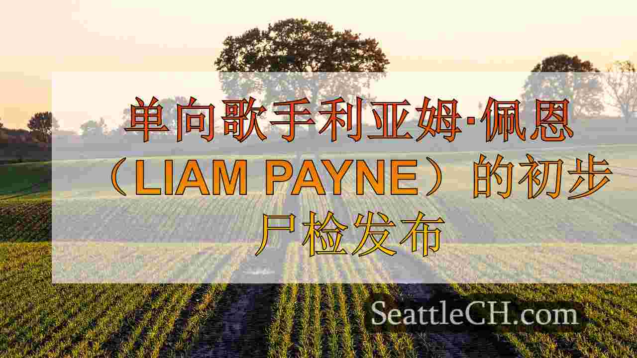 西雅图新闻 SeattleCH