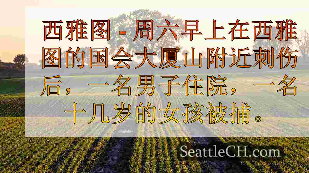 西雅图新闻 SeattleCH