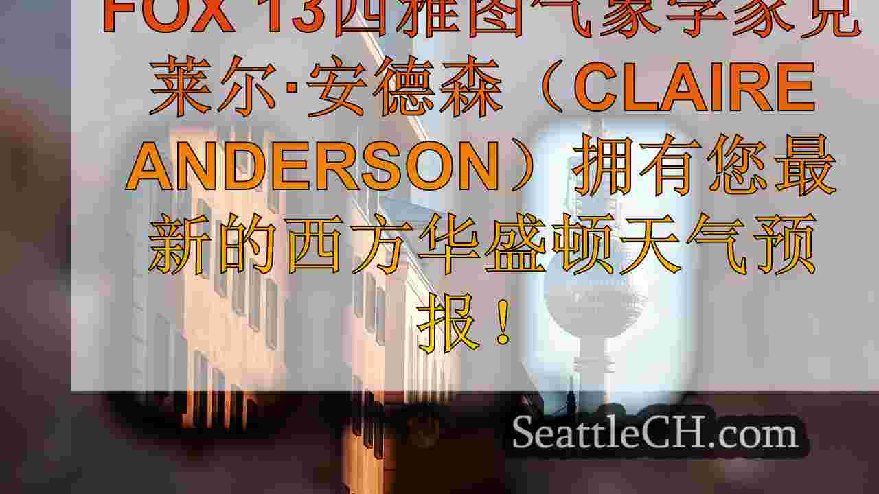 西雅图新闻 SeattleCH