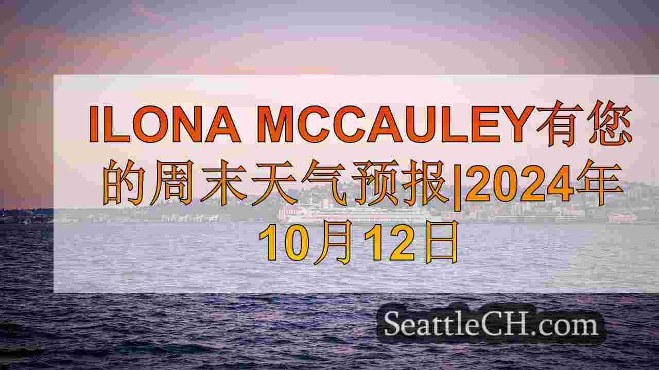 西雅图新闻 SeattleCH