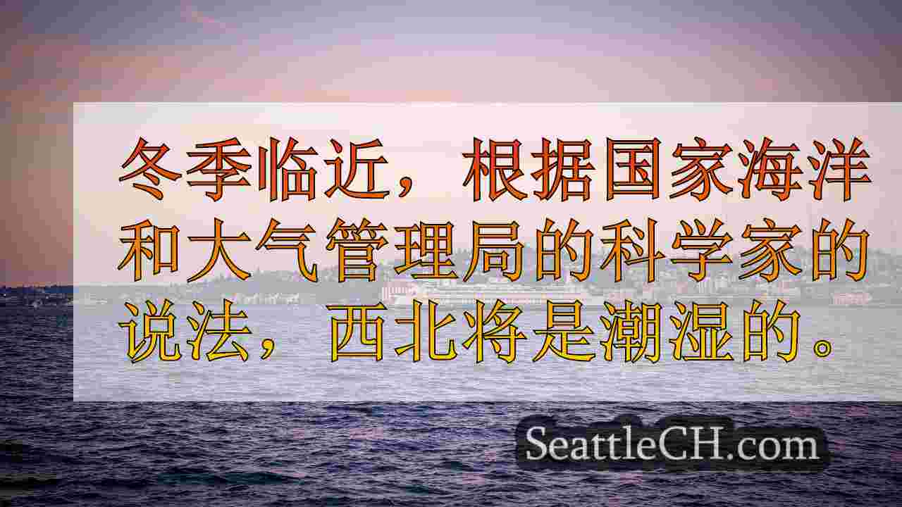 西雅图新闻 SeattleCH