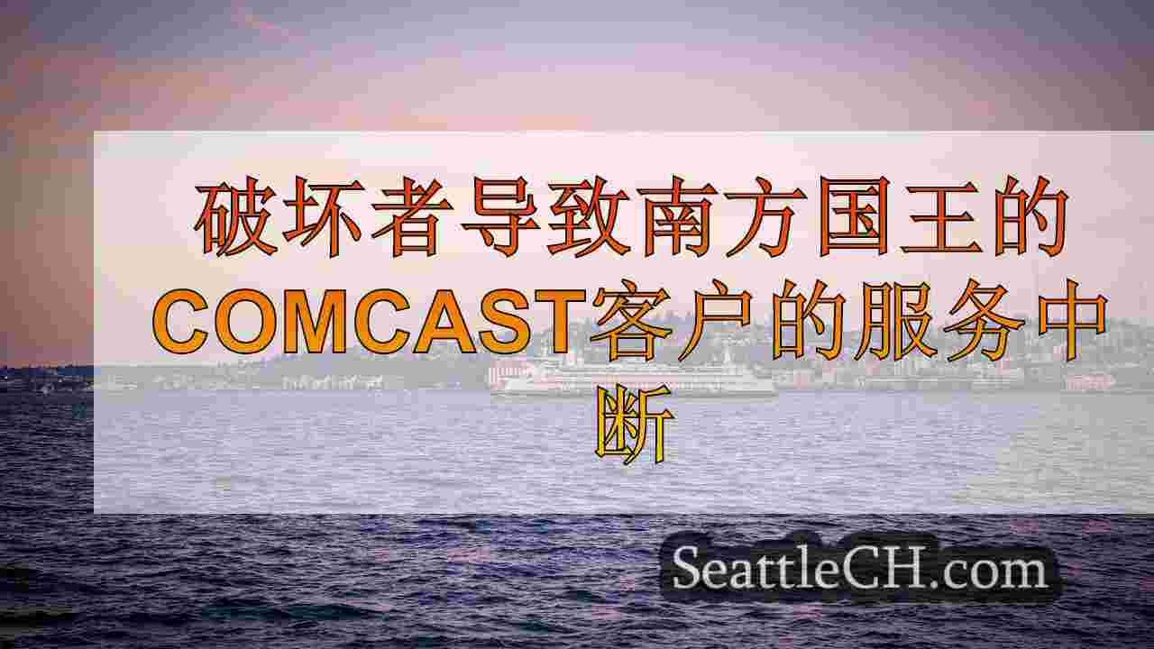 破坏者导致南金县的康卡斯特客户的服务中断