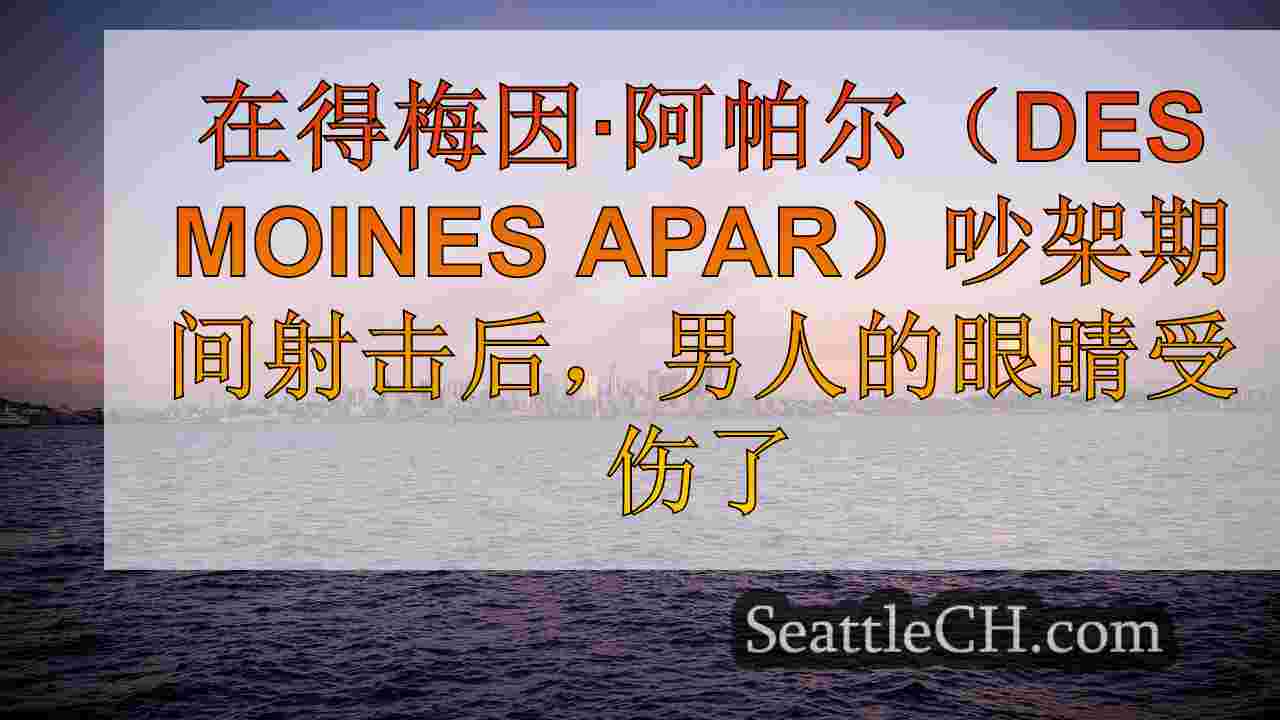 西雅图新闻 SeattleCH