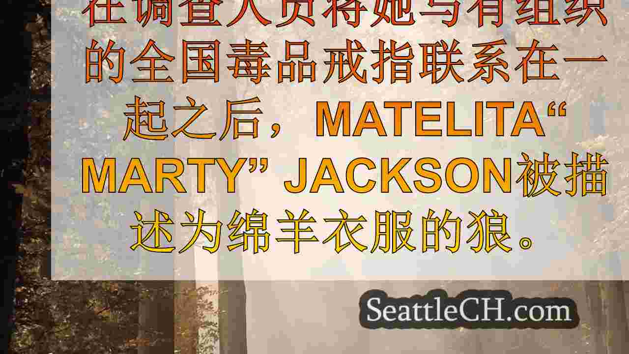 西雅图新闻 SeattleCH