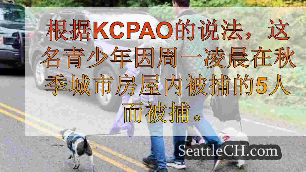 西雅图新闻 SeattleCH