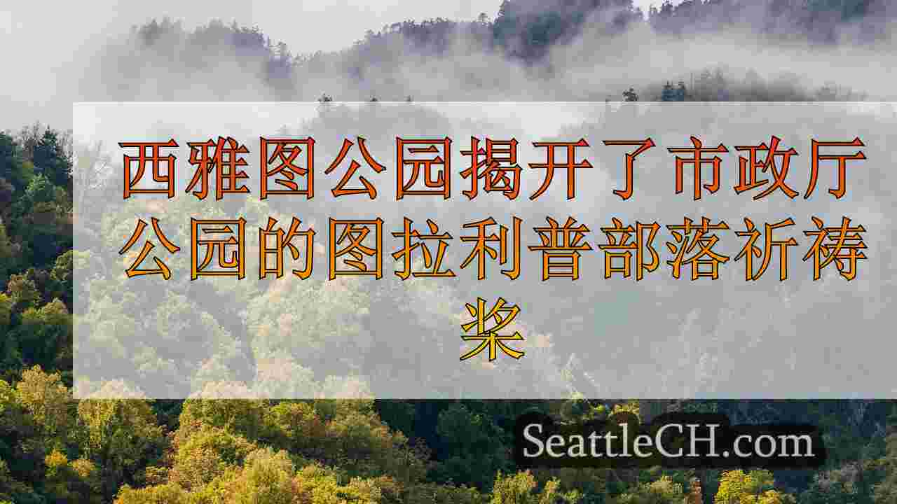 西雅图新闻 SeattleCH