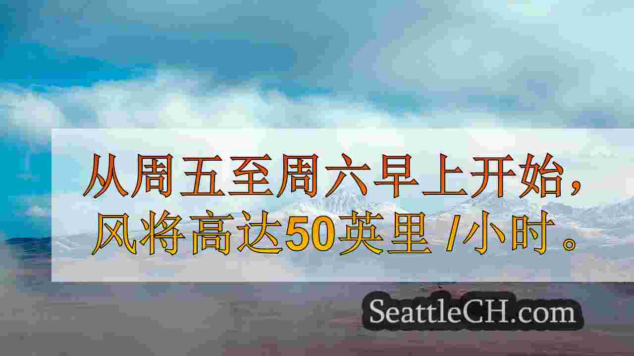 西雅图新闻 SeattleCH
