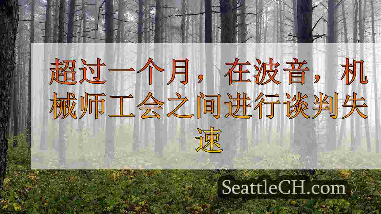 西雅图新闻 SeattleCH