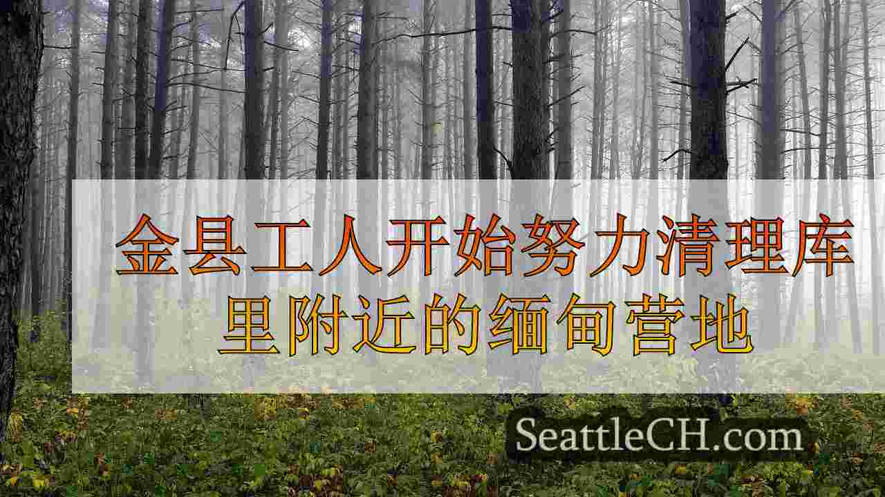 西雅图新闻 SeattleCH