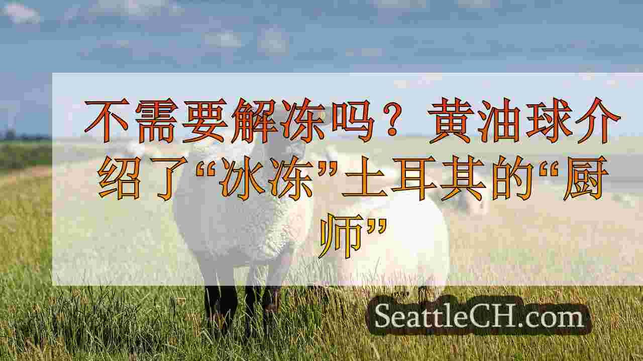 西雅图新闻 SeattleCH