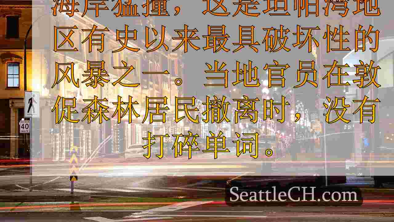 西雅图新闻 SeattleCH