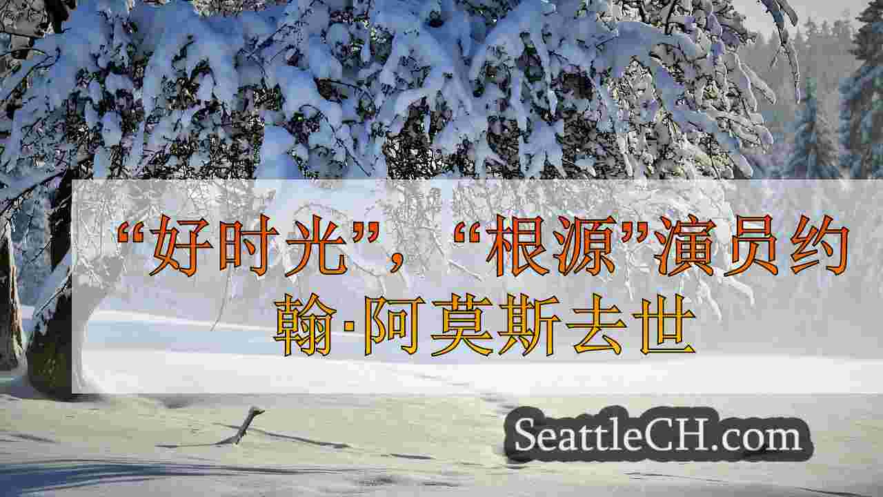 西雅图新闻 SeattleCH