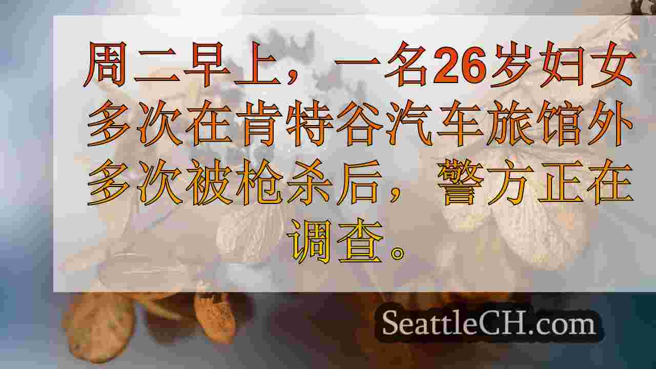 西雅图新闻 SeattleCH