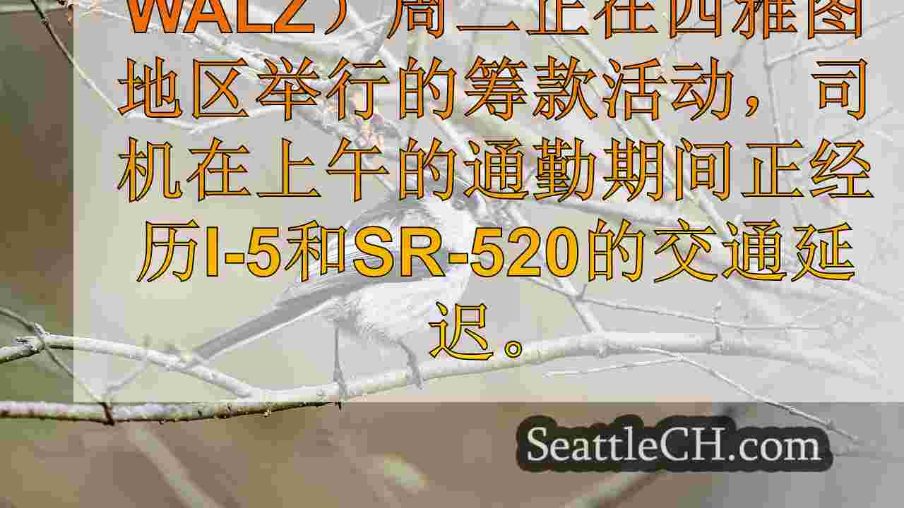 西雅图新闻 SeattleCH