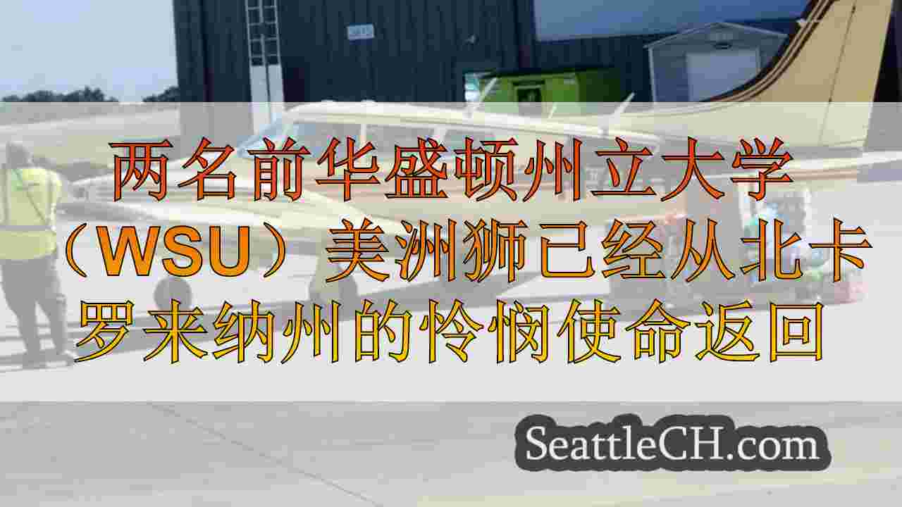 西雅图新闻 SeattleCH