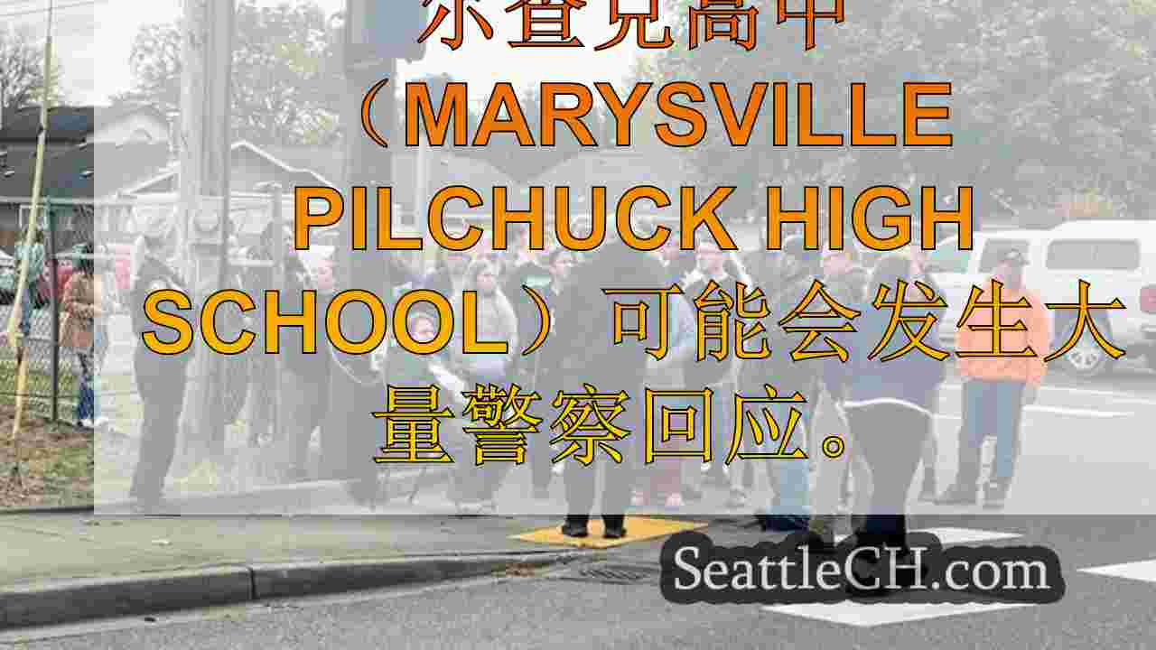 西雅图新闻 SeattleCH