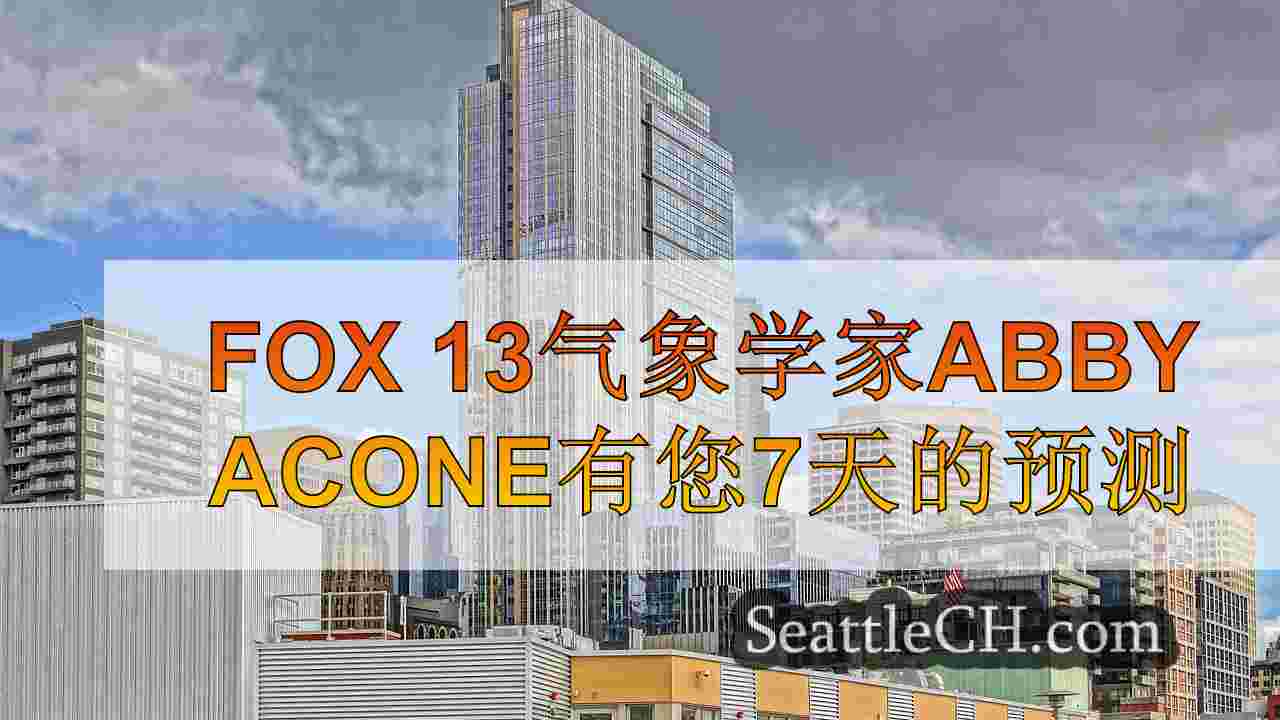 西雅图的天气：周日的多雨，轻松的风暴在周日酿造