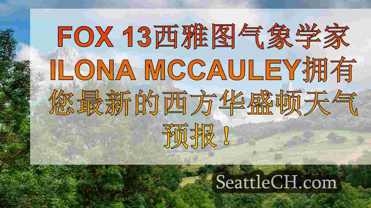 西雅图新闻 SeattleCH