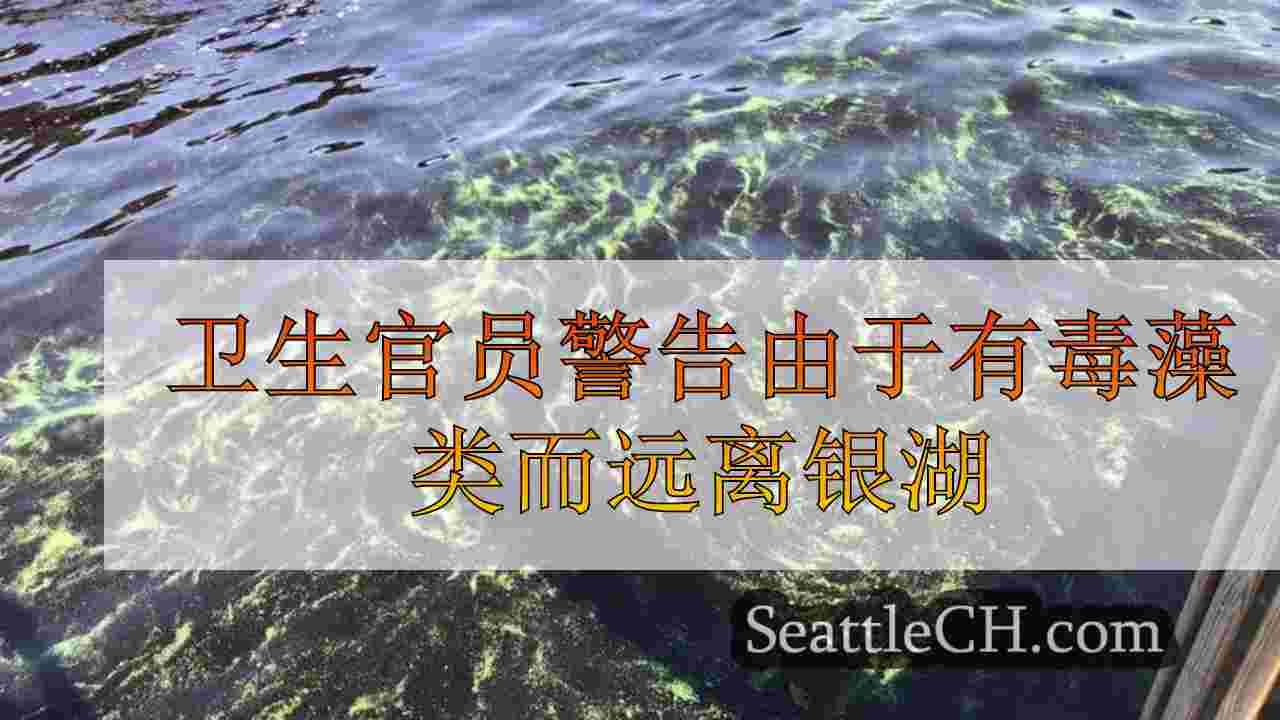 卫生官员警告由于有毒藻类而远离银湖