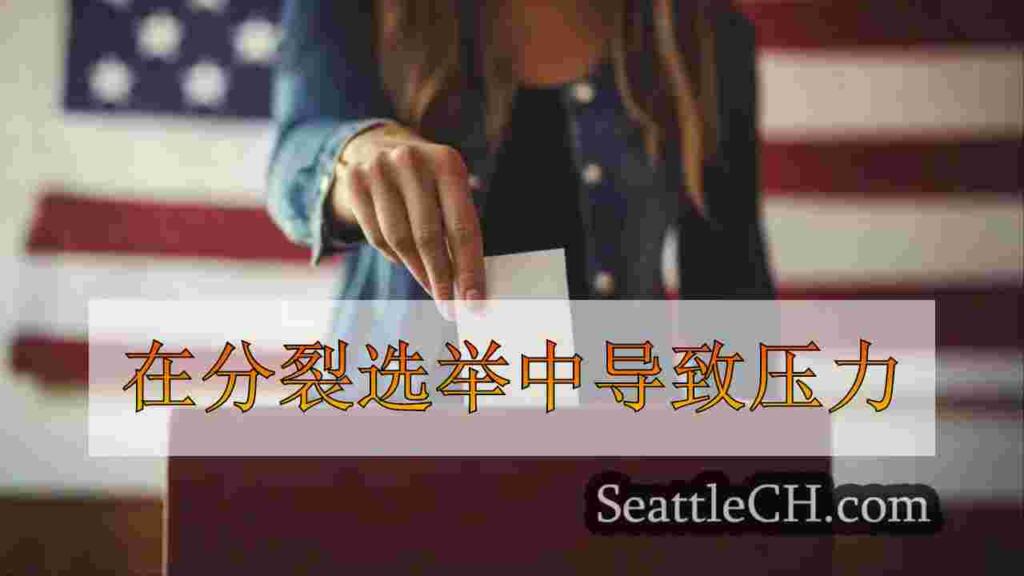 在分裂选举中导致压力