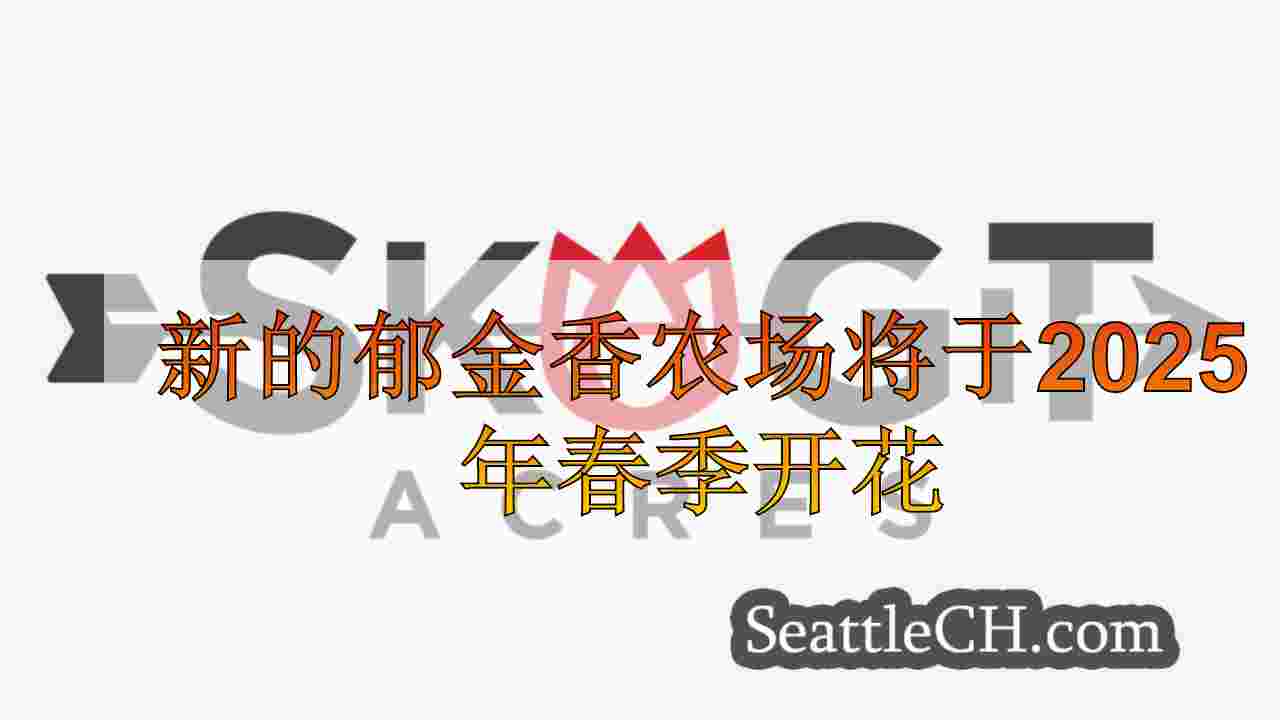 新的郁金香农场将于2025年春季开花