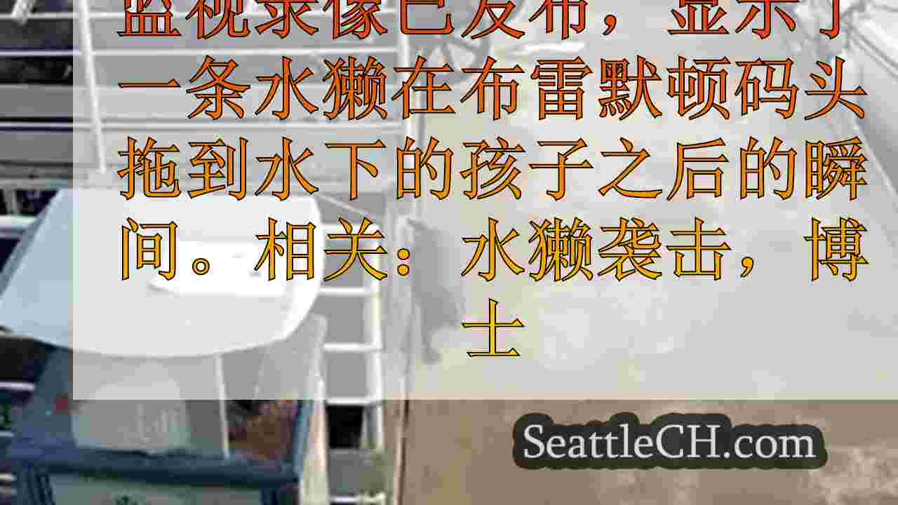 西雅图新闻 SeattleCH