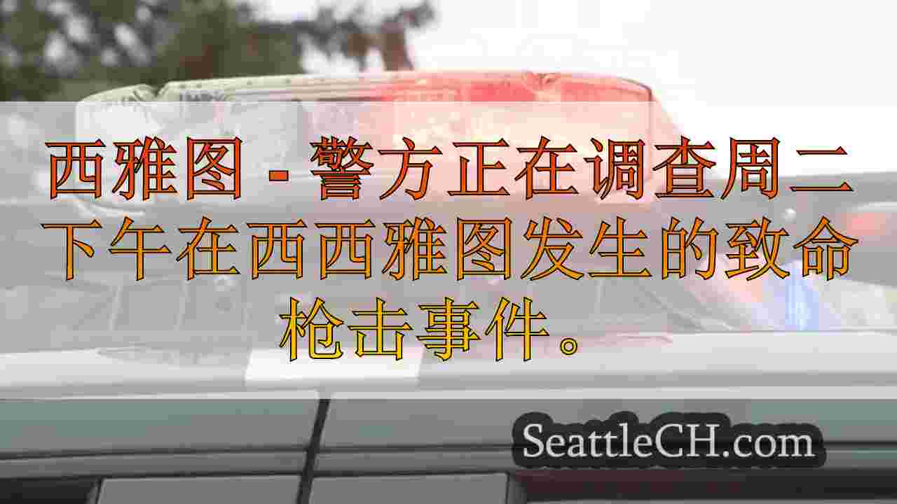 妇女在西西雅图开枪杀死，凶杀调查发起了