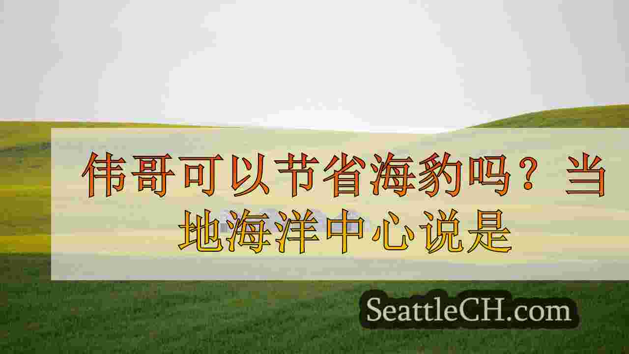 西雅图新闻 SeattleCH