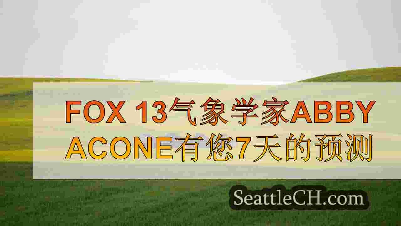 西雅图新闻 SeattleCH