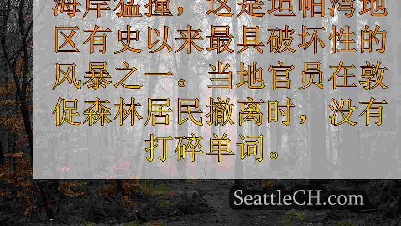 西雅图新闻 SeattleCH