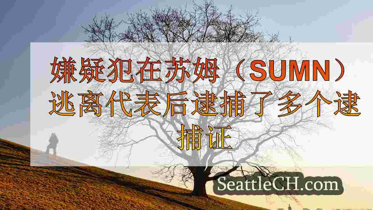 西雅图新闻 SeattleCH