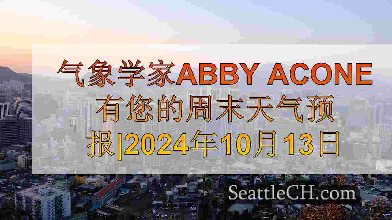 西雅图新闻 SeattleCH