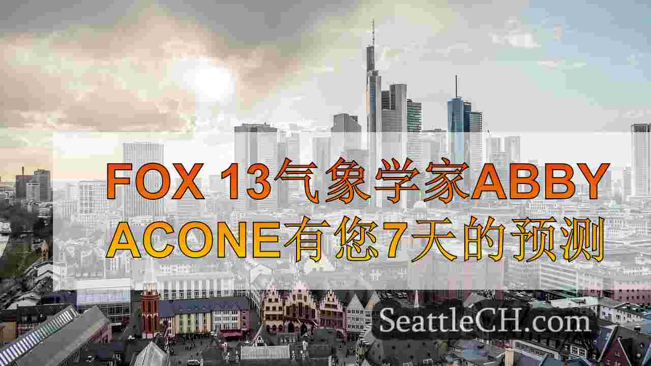 西雅图新闻 SeattleCH